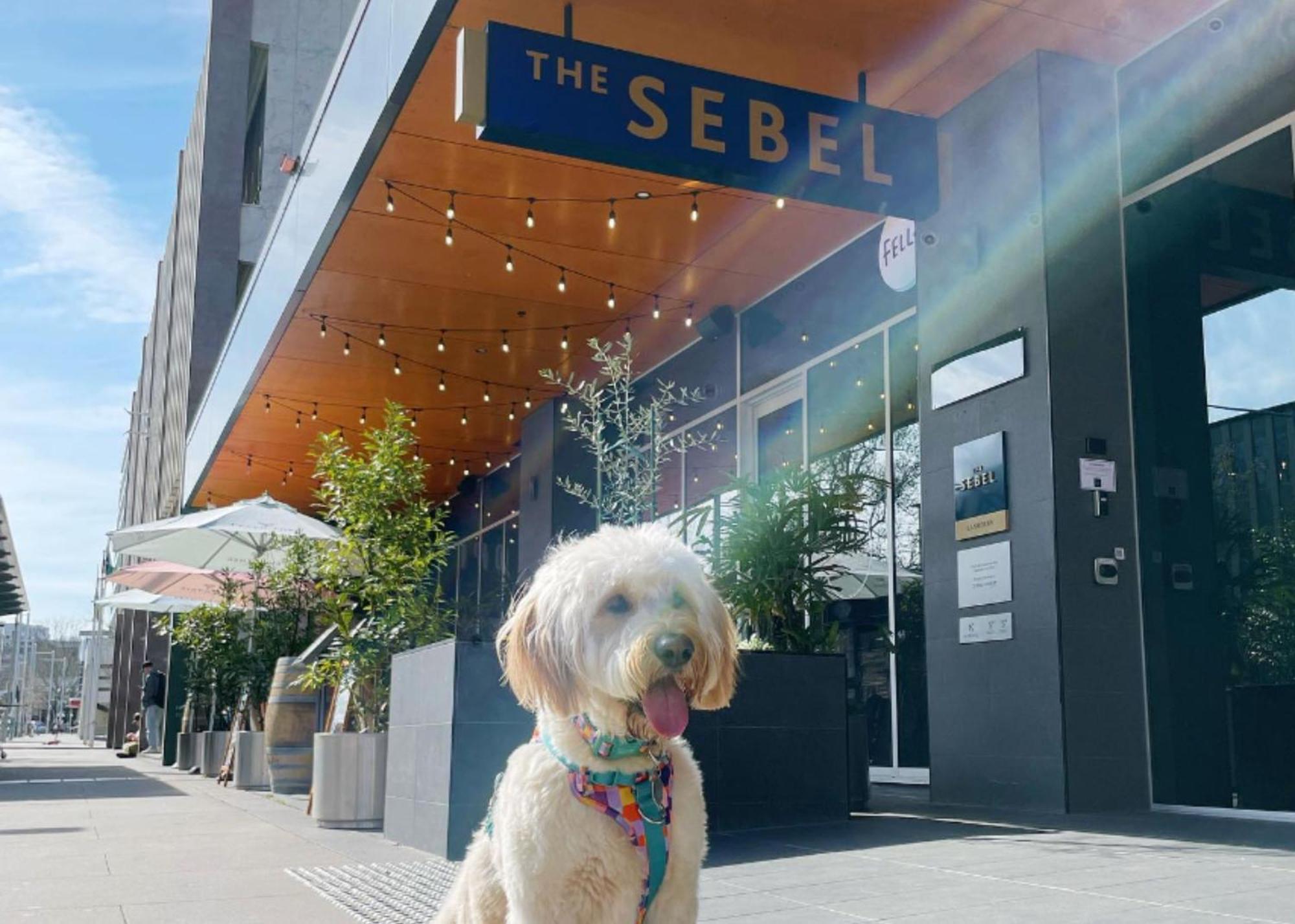 The Sebel Canberra Civic Zewnętrze zdjęcie
